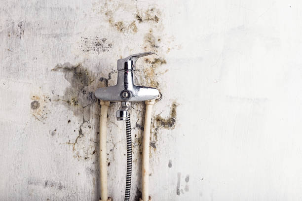 Best Mold Removal Near Me  in Riverside, CA