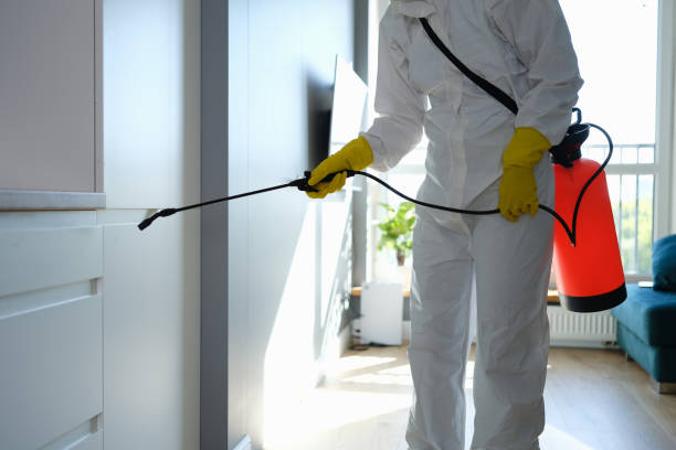 Best Professional Mold Removal  in Riverside, CA